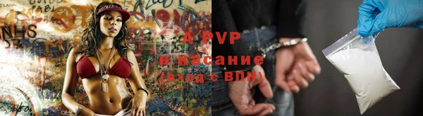 дмт Алзамай