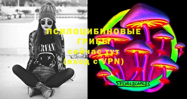 дмт Алзамай